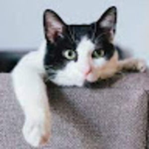 Meet your Posher, Chloe